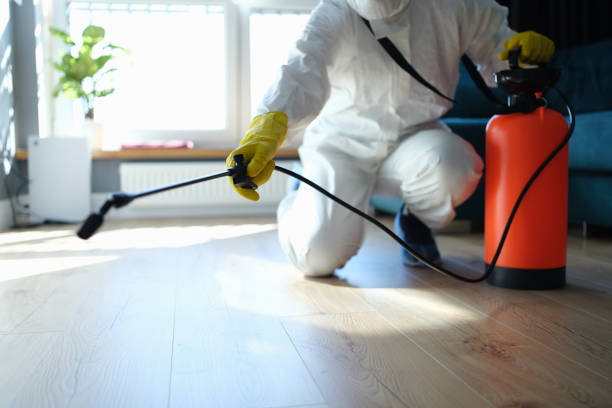 Reliable Hoarding Cleanup contractor in Hudson, TX by Trauma Clean Pros